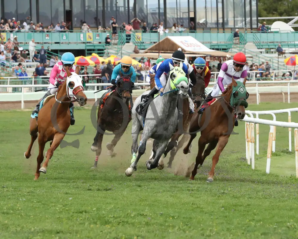 Fuerteventura - Cotton Fitzsimmons Stakes 03 - 14 - 24 R05 Turf Paradise Turn Shot