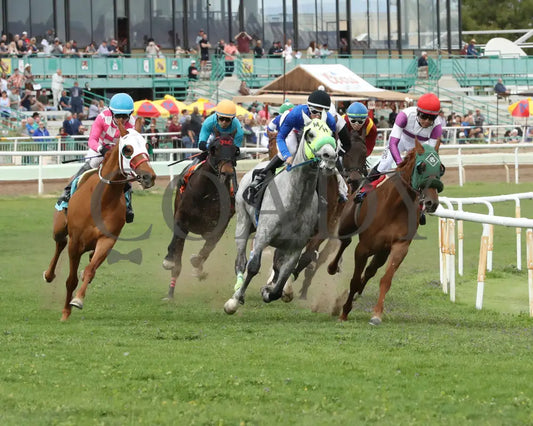 Fuerteventura - Cotton Fitzsimmons Stakes 03 - 14 - 24 R05 Turf Paradise Turn Shot