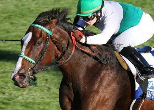 Fugitive Angel - The Pin Oak Valley View Keeneland