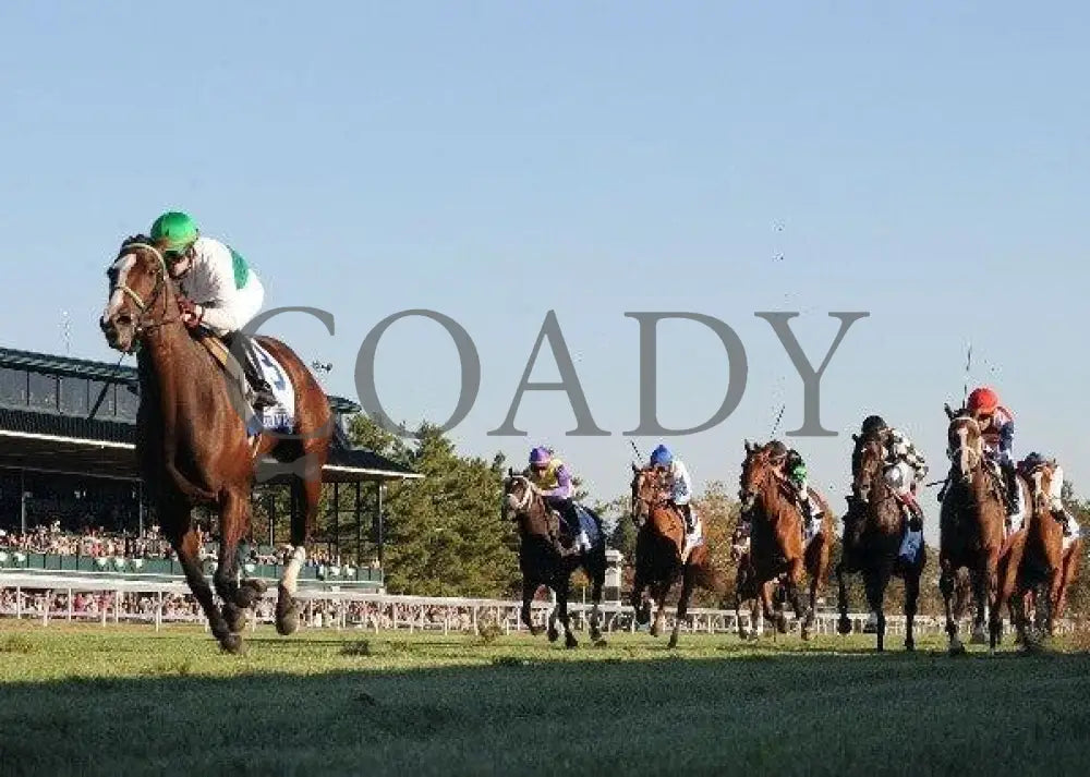 Fugitive Angel - The Pin Oak Valley View Keeneland