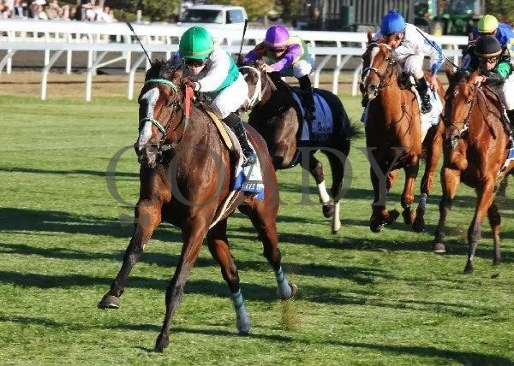 Fugitive Angel - The Pin Oak Valley View Keeneland