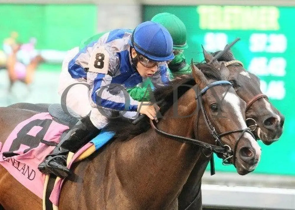 Full - 1 101311 Race 05 Keeneland