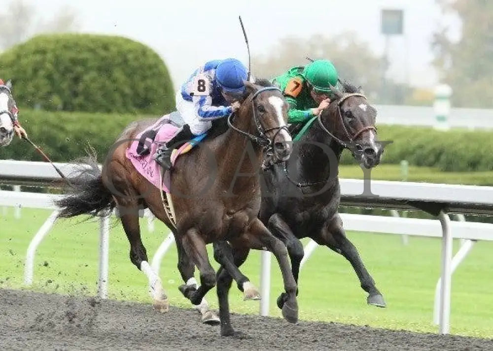 Full - 2 101311 Race 05 Keeneland