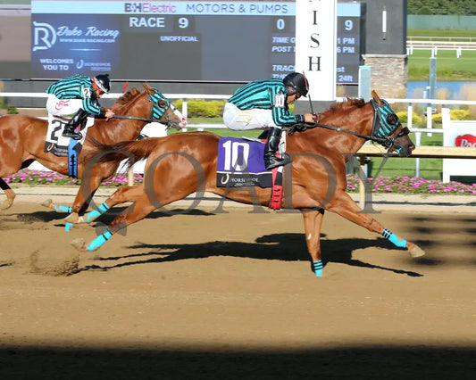 FULL BOOGIE Escondido Beach Overnight Stakes 08 27 25 R09 Horseshoe Indiana Finish 01 Sammantha Pagels Indiana Grand
