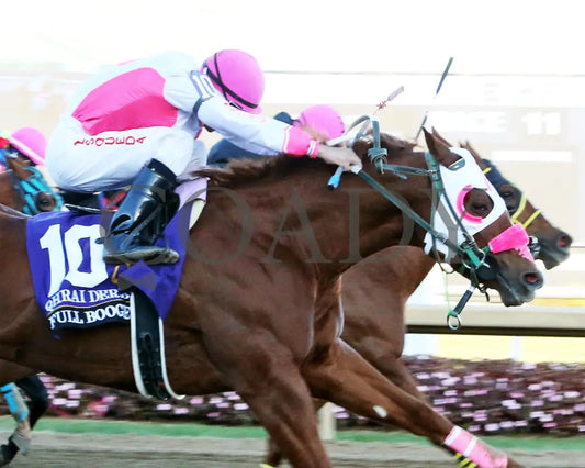 Full Boogie - Qhrai Derby Final 10-26-24 R11 Horseshoe Indiana Tight Finish 01 Devin Hall Grand