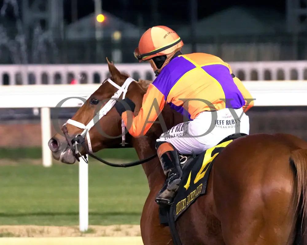 FURTHER ADO - The Kentucky Jockey Club G2 - 11-29-25 - R10 - CD - Come Back 02 - Coady Media - Kurtis Coady Photography