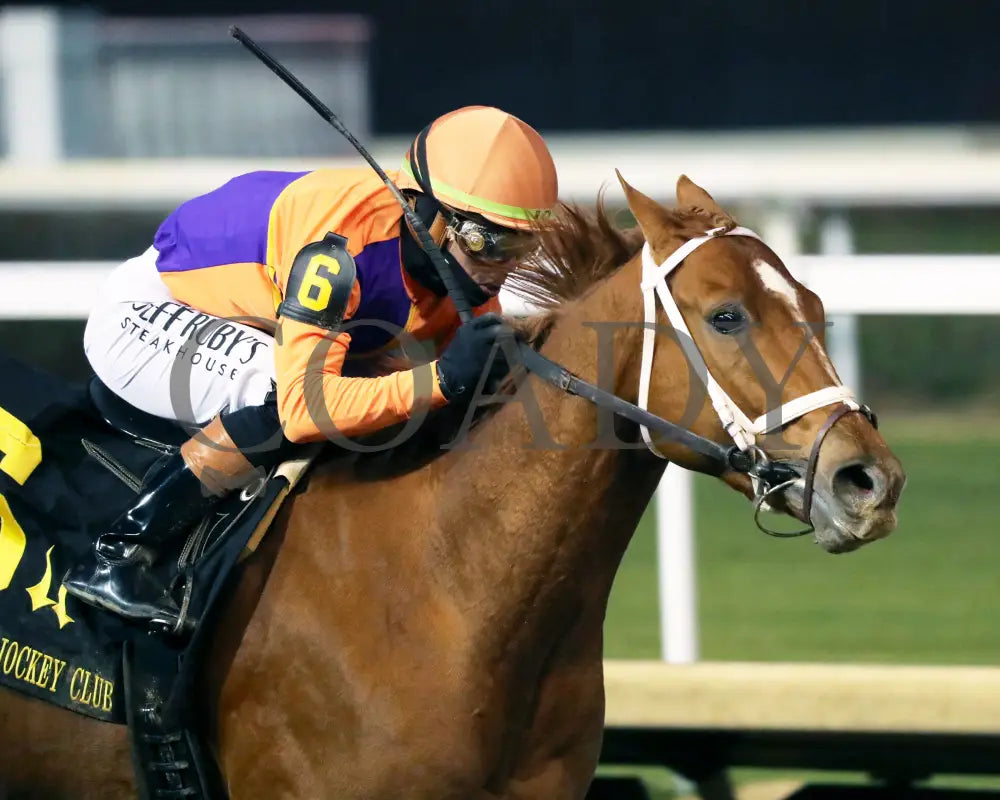 FURTHER ADO - The Kentucky Jockey Club G2 - 11-29-25 - R10 - CD - Finish 03 - Coady Media - Kurtis Coady Photography
