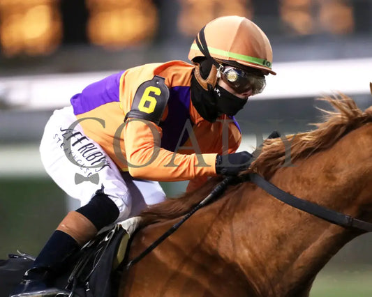 FURTHER ADO - The Kentucky Jockey Club G2 - 11-29-25 - R10 - CD - First Turn 02 - Coady Media - Kurtis Coady Photography