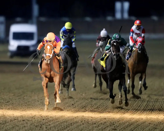 FURTHER ADO - The Kentucky Jockey Club G2 - 11-29-25 - R10 - CD - Head On 01 - Coady Media - Kurtis Coady Photography