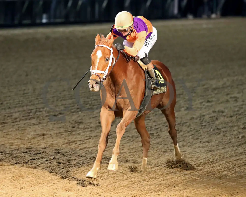 FURTHER ADO - The Kentucky Jockey Club G2 - 11-29-25 - R10 - CD - Inside Finish 01 - Coady Media - Kurtis Coady Photography