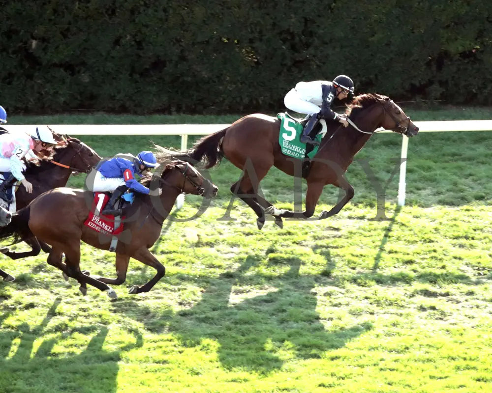 Future Is Now - 101324 Race 08 Kee The Franklin G2 28Th Running -Aerial 01 Keeneland