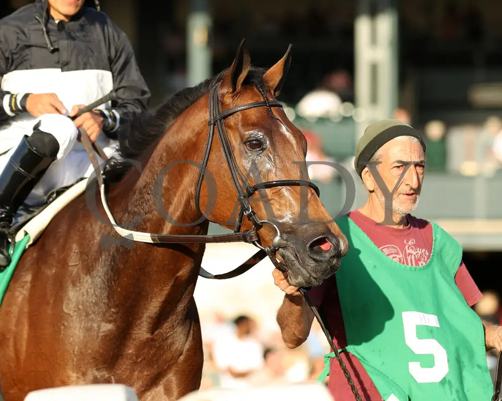 Future Is Now - 101324 Race 08 Kee The Franklin G2 28Th Running Come Back03 Keeneland