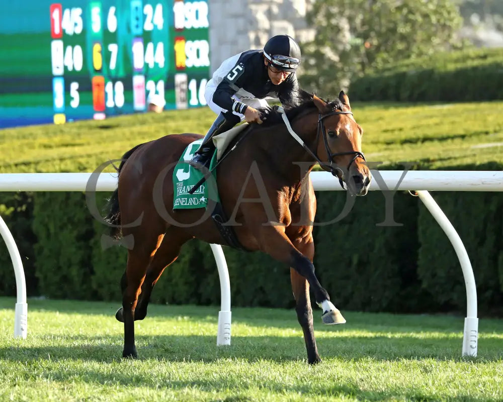 Future Is Now - 101324 Race 08 Kee The Franklin G2 28Th Running Finish03 Keeneland