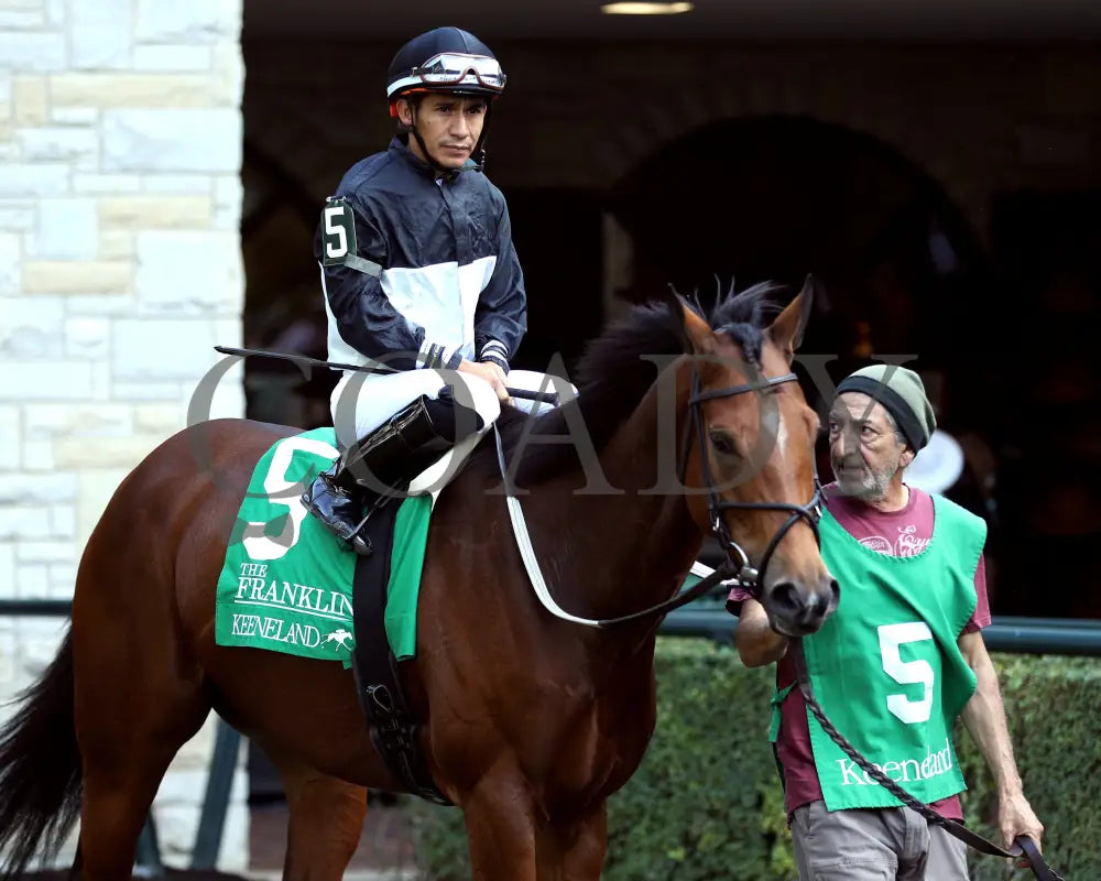 Future Is Now - 101324 Race 08 Kee The Franklin G2 28Th Running Paddock 01 Keeneland