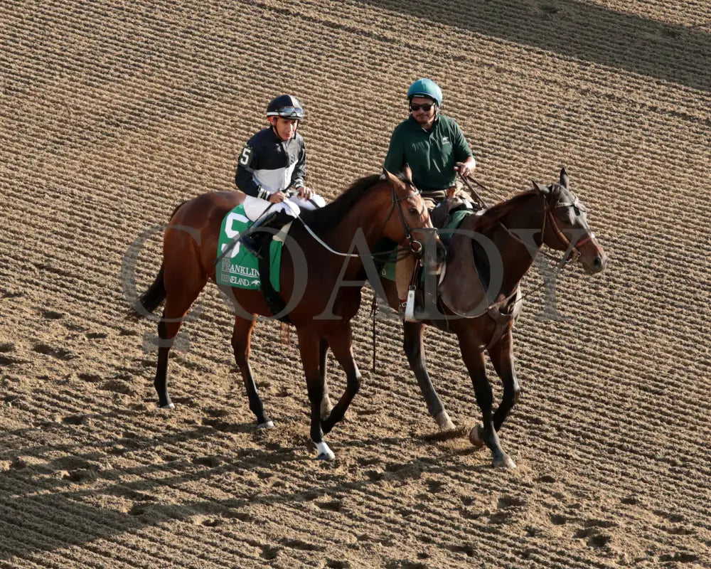 Future Is Now - 101324 Race 08 Kee The Franklin G2 28Th Running Post Parade 01 Keeneland