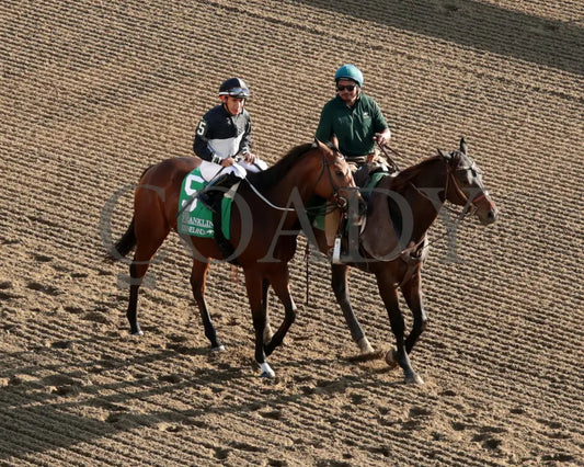 Future Is Now - 101324 Race 08 Kee The Franklin G2 28Th Running Post Parade 01 Keeneland