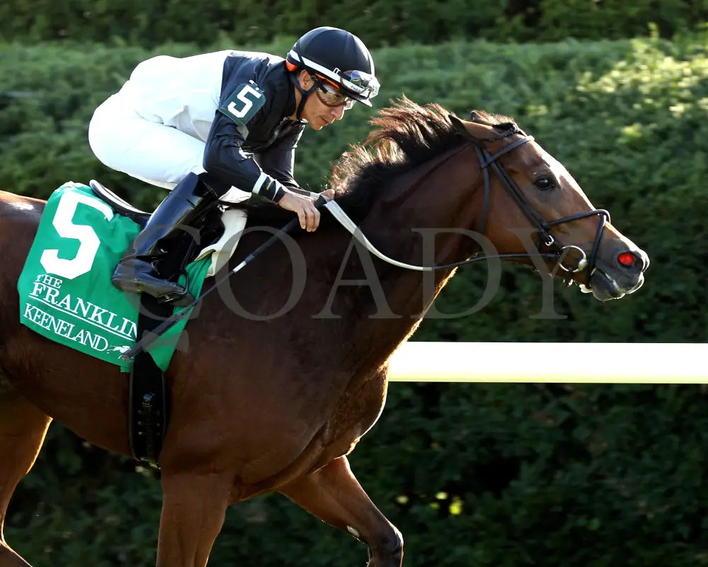 Future Is Now - 101324 Race 08 Kee The Franklin G2 28Th Running Tight Finish 01 Keeneland