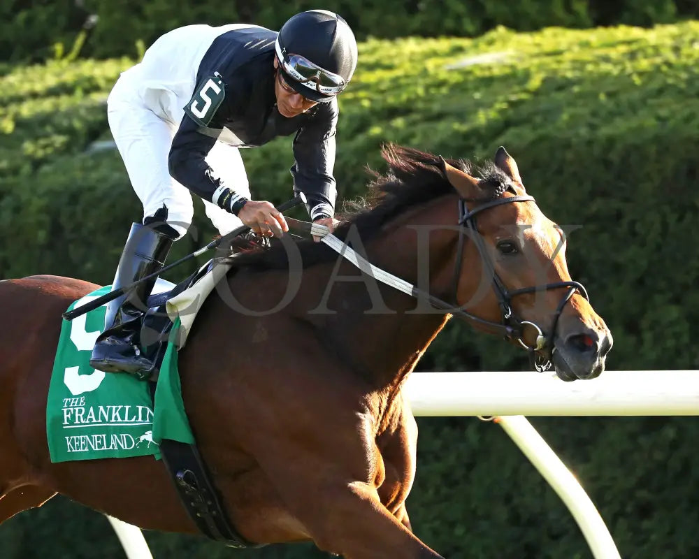 Future Is Now - 101324 Race 08 Kee The Franklin G2 28Th Running Tight Finish 02 Keeneland