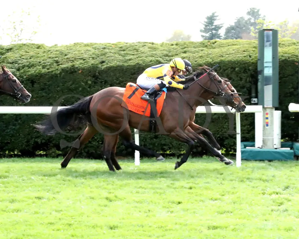 FUTURE IS NOW - The Giant’s Causeway G3 - 04-13-25 - R08 - KEE - Finish 01 Keeneland