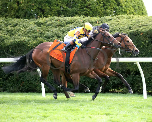 FUTURE IS NOW - The Giant’s Causeway G3 - 04-13-25 - R08 - KEE - Finish 05 Keeneland