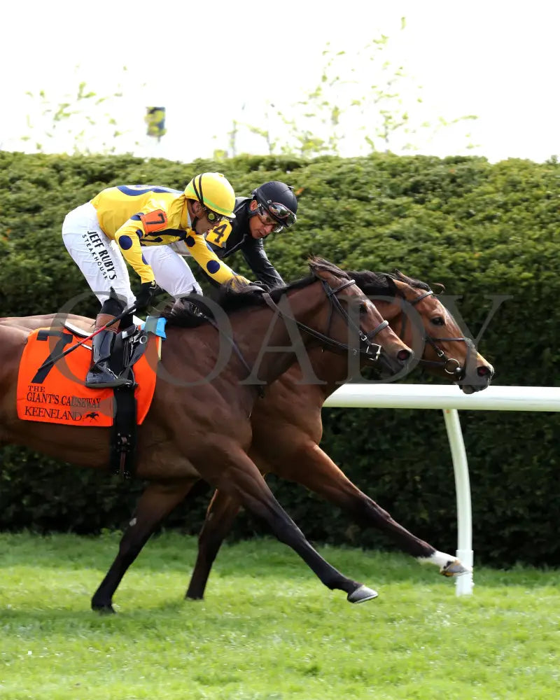 FUTURE IS NOW - The Giant’s Causeway G3 - 04-13-25 - R08 - KEE - Finish 06 Keeneland