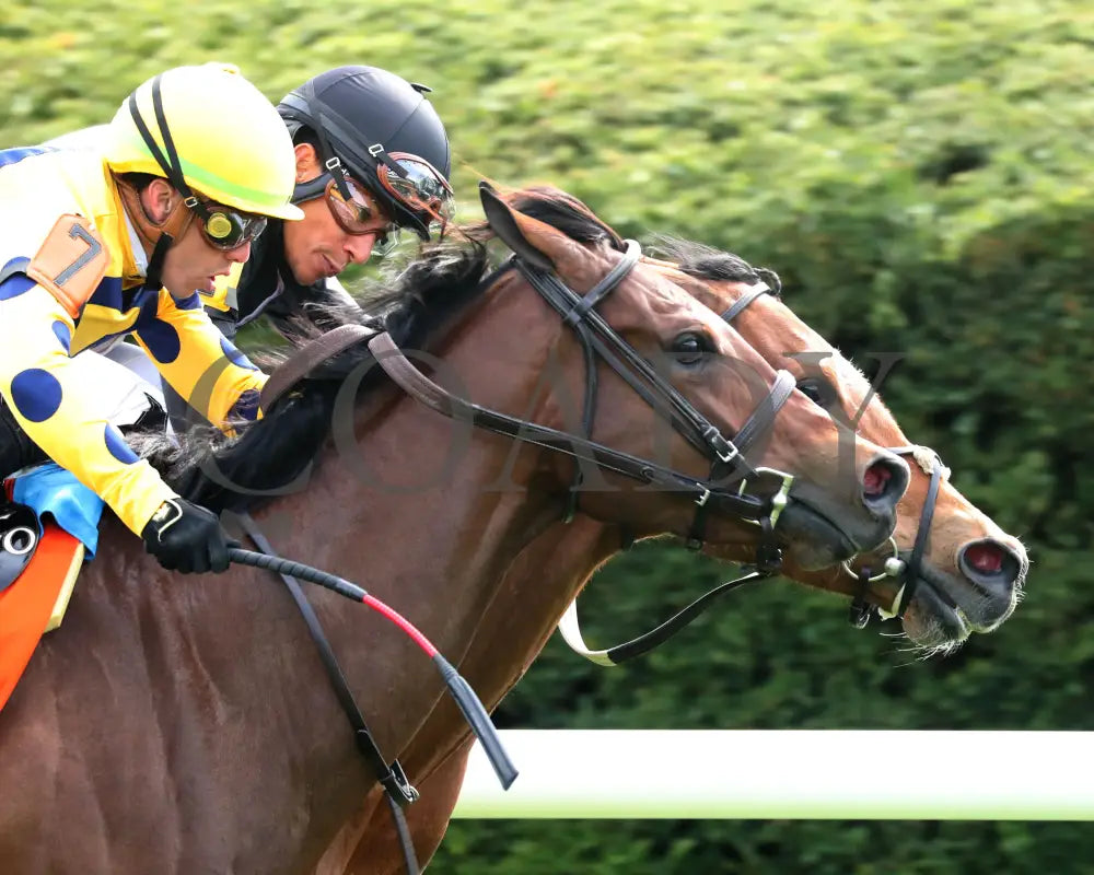 FUTURE IS NOW - The Giant’s Causeway G3 - 04-13-25 - R08 - KEE - Finish 04 Keeneland