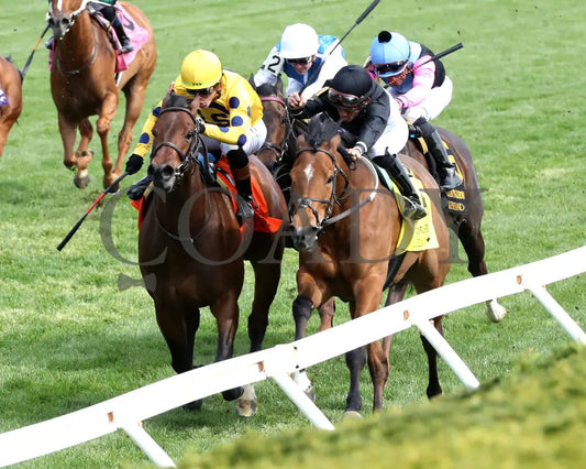 FUTURE IS NOW - The Giant's Causeway G3 - 04-13-25 - R08 - KEE - Inside Finish 01 - Coady Media - Kurtis Coady Photography