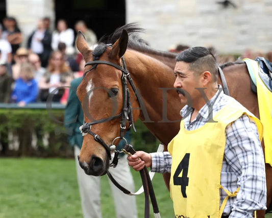 FUTURE IS NOW - The Giant’s Causeway G3 - 04-13-25 - R08 - KEE - Paddock 01 Keeneland