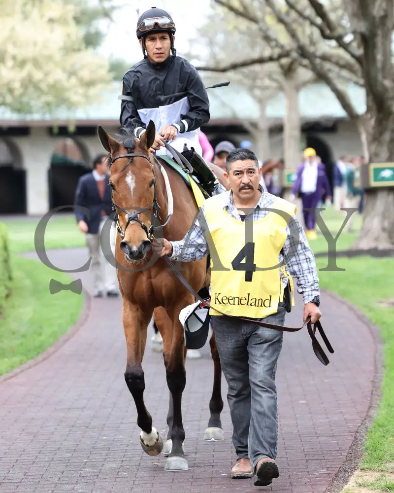 FUTURE IS NOW - The Giant’s Causeway G3 - 04-13-25 - R08 - KEE - Paddock 03 Keeneland