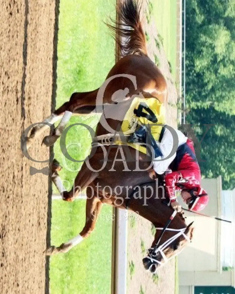 Fuzzy Dee Jay - 061514 Race 07 Btp Fin Belterra Park