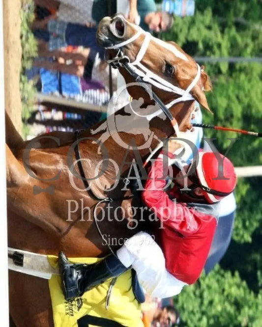 Fuzzy Dee Jay - 061514 Race 07 Btp Inside Belterra Park