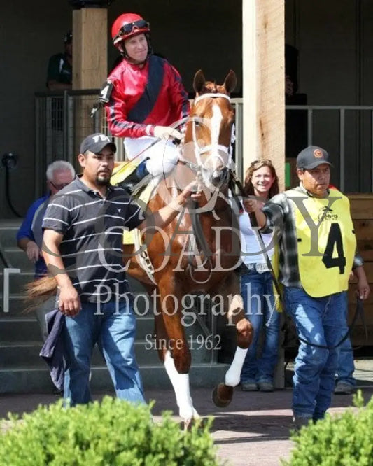 Fuzzy Dee Jay - 061514 Race 07 Btp Paddock Belterra Park