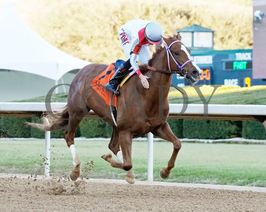 G W’S GIRL - Dixie Belle Stakes - 47th Running - 02-24-25 - R09 - OP - Celebration 01 Oaklawn Park