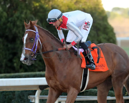 G W’S GIRL - Dixie Belle Stakes - 47th Running - 02-24-25 - R09 - OP - Come Back 01 Oaklawn Park