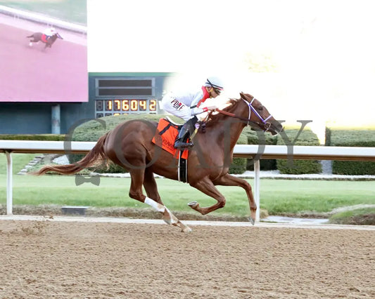 G W’S GIRL - Dixie Belle Stakes - 47th Running - 02-24-25 - R09 - OP - Finish 01 Oaklawn Park
