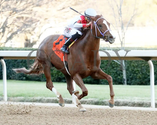 G W’S GIRL - Dixie Belle Stakes - 47th Running - 02-24-25 - R09 - OP - Finish 03 Oaklawn Park