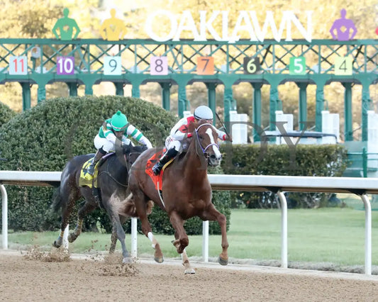G W’S GIRL - Dixie Belle Stakes - 47th Running - 02-24-25 - R09 - OP - Finish 02 Oaklawn Park