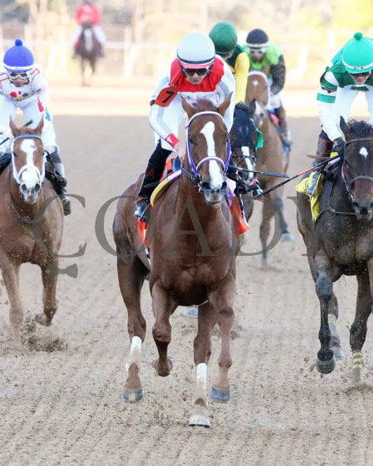 G W’S GIRL - Dixie Belle Stakes - 47th Running - 02-24-25 - R09 - OP - Gallop Out 01 Oaklawn Park