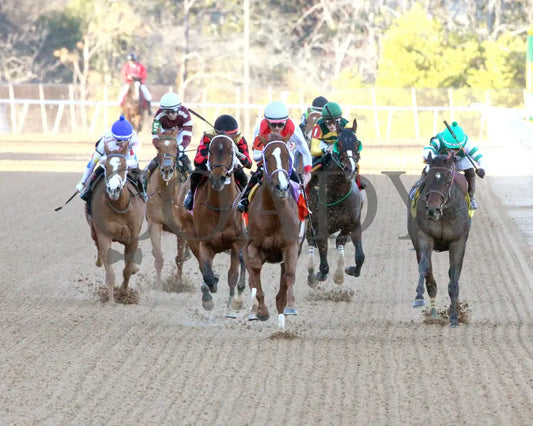 G W’S GIRL - Dixie Belle Stakes - 47th Running - 02-24-25 - R09 - OP - Head On 01 Oaklawn Park