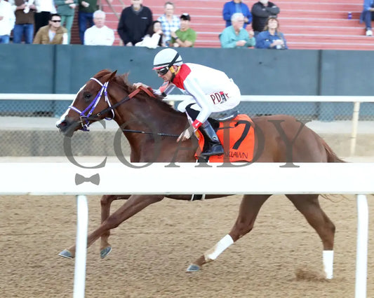 G W’S GIRL - Dixie Belle Stakes - 47th Running - 02-24-25 - R09 - OP - Inside Finish 01 Oaklawn Park