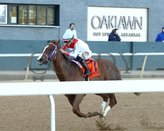 G W’S GIRL - Dixie Belle Stakes - 47th Running - 02-24-25 - R09 - OP - Inside Finish 02 Oaklawn Park