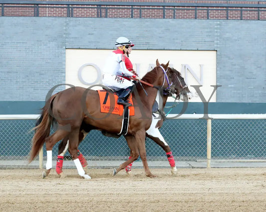 G W’S GIRL - Dixie Belle Stakes - 47th Running - 02-24-25 - R09 - OP - Post Parade 01 Oaklawn Park