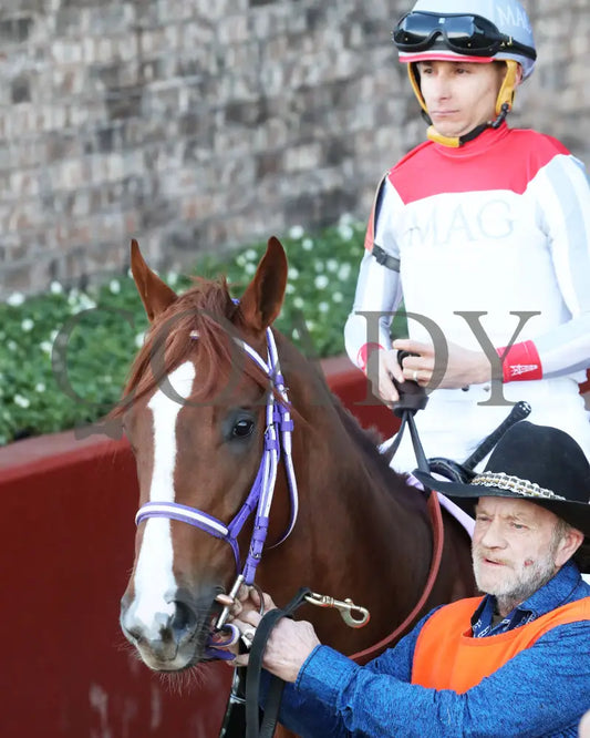 G W’S GIRL - Dixie Belle Stakes - 47th Running - 02-24-25 - R09 - OP - Post Parade 05 Oaklawn Park