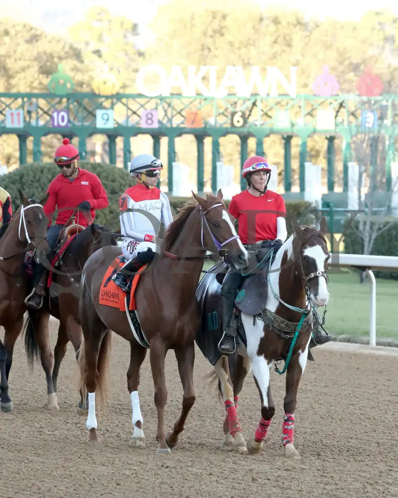 G W’S GIRL - Dixie Belle Stakes - 47th Running - 02-24-25 - R09 - OP - Post Parade 02 Oaklawn Park