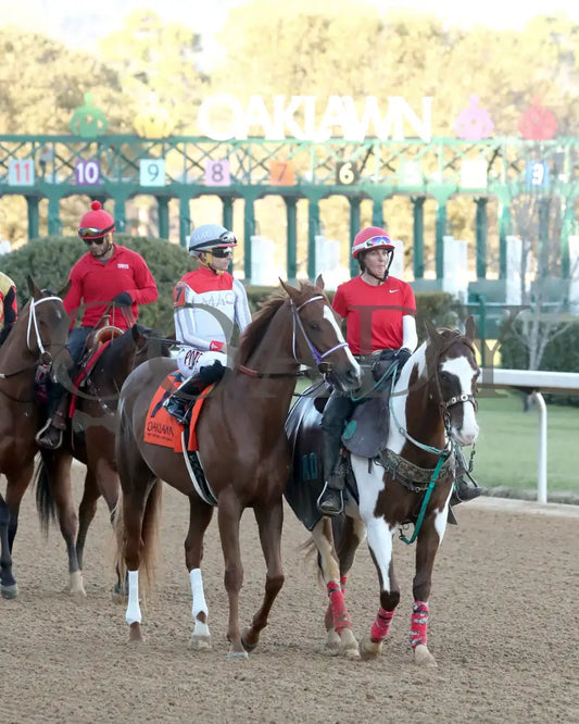 G W’S GIRL - Dixie Belle Stakes - 47th Running - 02-24-25 - R09 - OP - Post Parade 02 Oaklawn Park