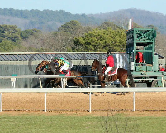 G W’S GIRL - Dixie Belle Stakes - 47th Running - 02-24-25 - R09 - OP - Start 01 Oaklawn Park