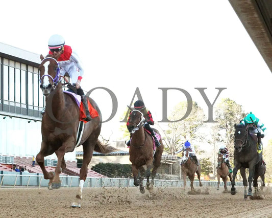 G W’S GIRL - Dixie Belle Stakes - 47th Running - 02-24-25 - R09 - OP - Under Rail 01 Oaklawn Park