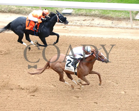 G W’s Girl - The Mockingbird Stakes 01-04-25 R07 Op Aerial Finish 01 Oaklawn Park