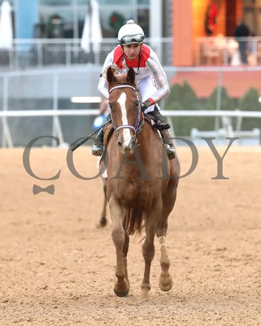 G W’s Girl - The Mockingbird Stakes 01-04-25 R07 Op Come Back 01 Oaklawn Park