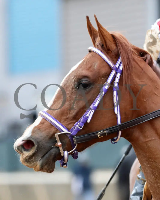 G W’s Girl - The Mockingbird Stakes 01-04-25 R07 Op Come Back 04 Oaklawn Park